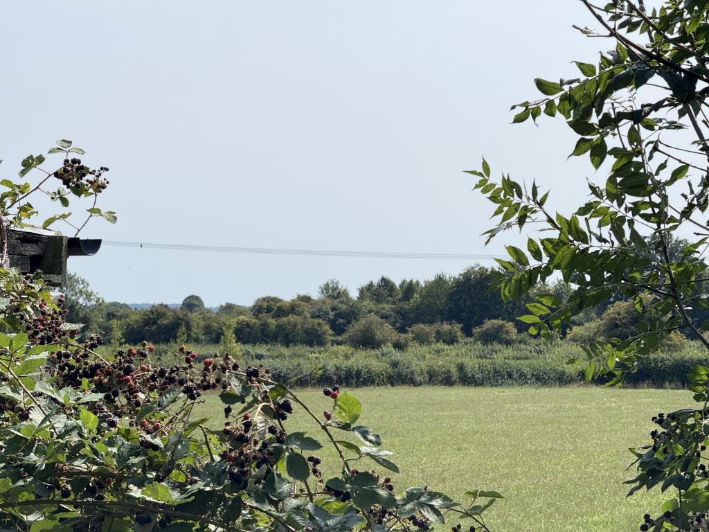 Lot: 121 - FREEHOLD DETACHED BUNGALOW WITH SEPARATE WORKSHOP AND GARAGE ON PLOT OF 0.83 ACRES FOR IMPROVEMENT OR REDEVELOPMENT - View across field to South